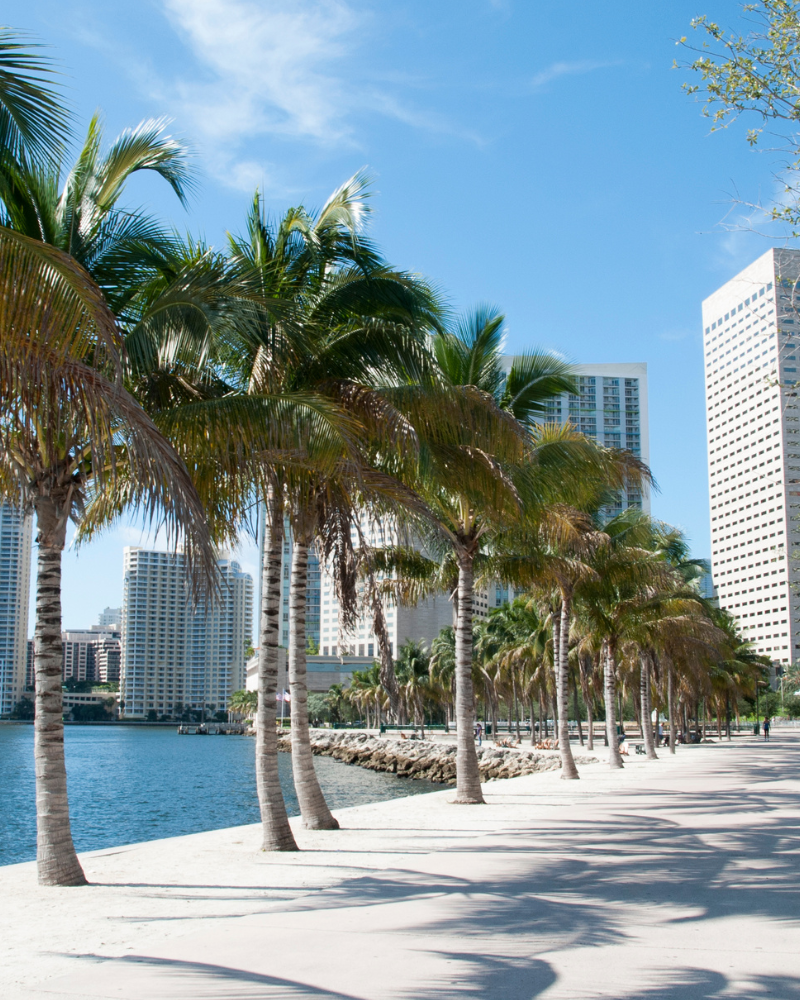 South Florida Title & Escrow Services for Lien Mitigation​